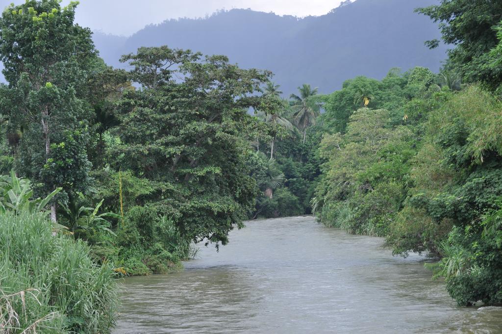 River Edge Bungalow Matale Exterior photo